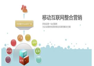 邵明宇的互聯(lián)網(wǎng)營(yíng)銷(xiāo)模式與銷(xiāo)售策略解析